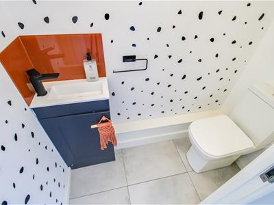 Picture 8